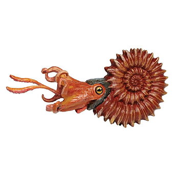 Ammonite  13 cm-  Safari 
