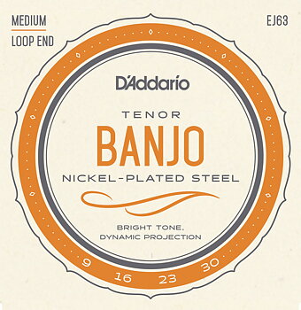 D´addario EJ63 Tenorbanjo