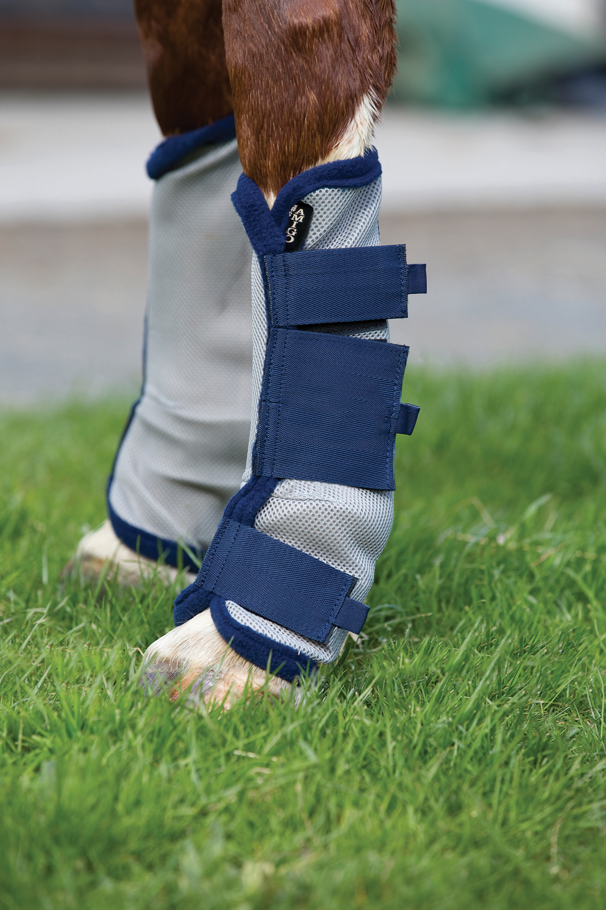 Horseware AMIGO FLYBOOTS silver/navy