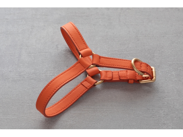 2.8 Mario Dog Harness Orange - 2