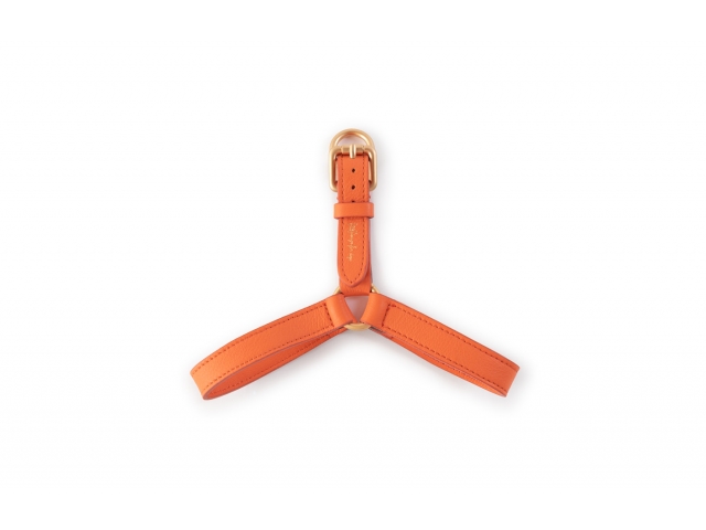2.8 Mario Dog Harness Orange