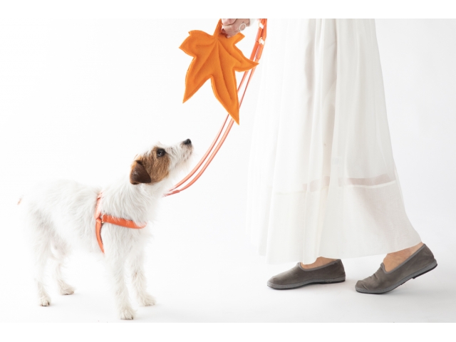 2.8 Mario Dog Harness Orange - 3