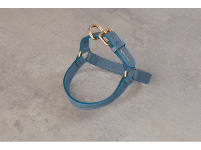 2.8 Mario Dog Harness Blue - 2