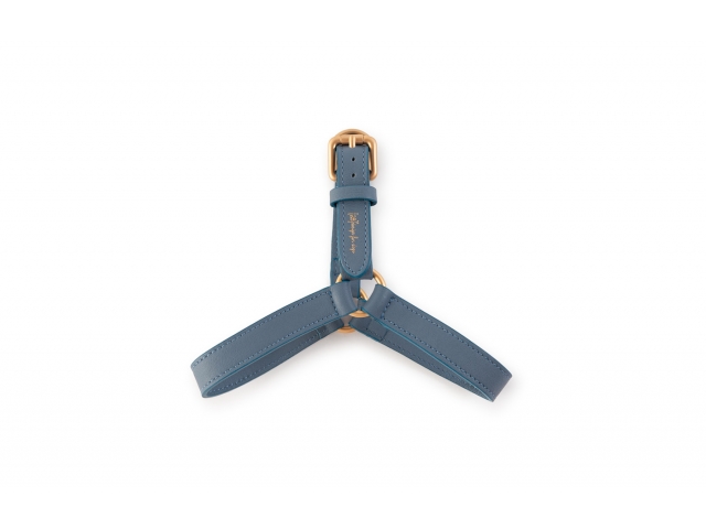 2.8 Mario Dog Harness Blue