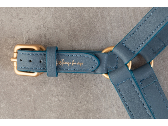 2.8 Mario Dog Harness Blue - 3