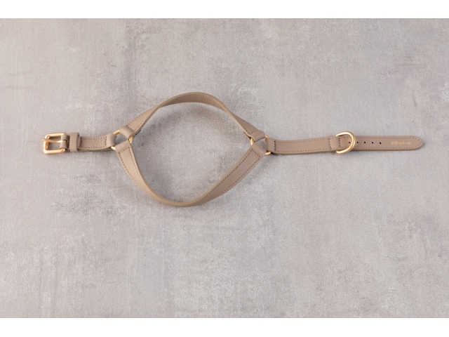 2.8 Mario Dog Harness Taupe - 3