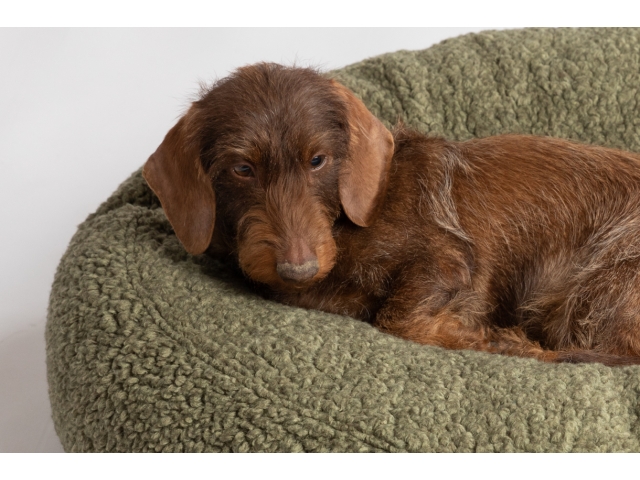 2.8 Fulvio Pistachio Dog Bed - 2