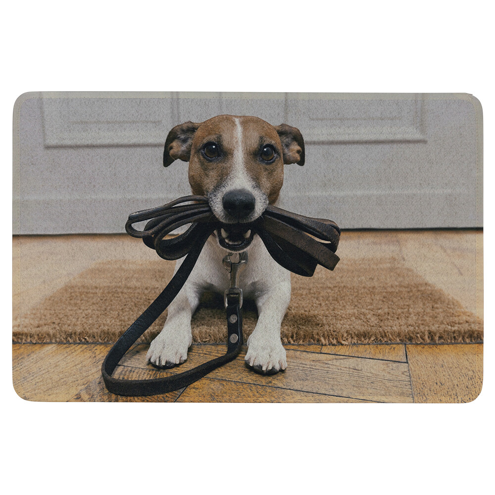 Dörrmatta Jack Russel Let´s  go!