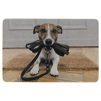 Dörrmatta Jack Russel Let´s  go!