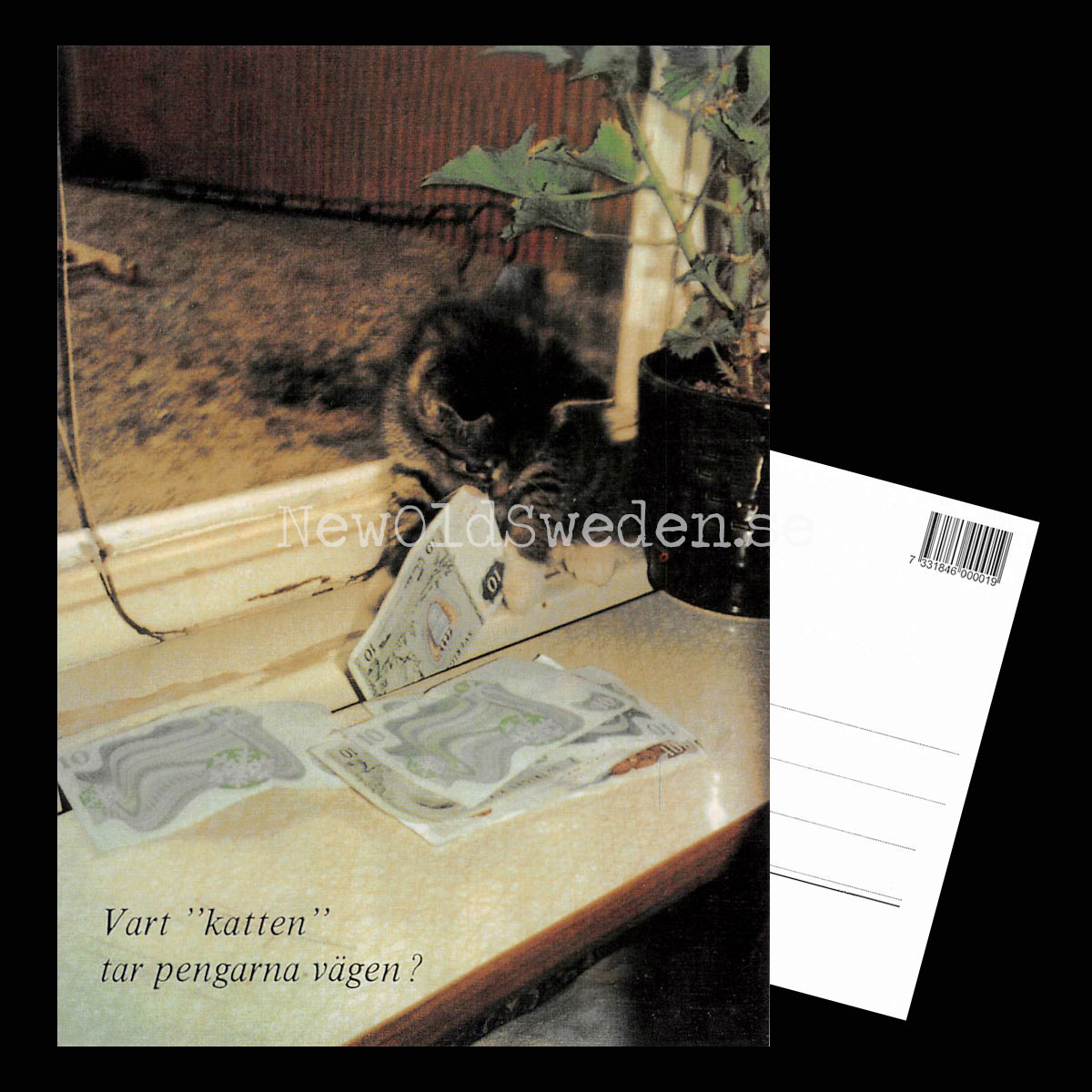 Vart "katten" tar pengarna vägen? Vykort A5 - 3