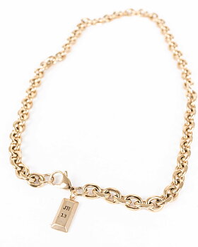 Jernhest - Minnesota Necklace Gold
