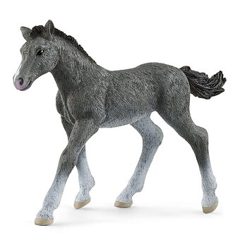 Trakehner Föl - Schleich