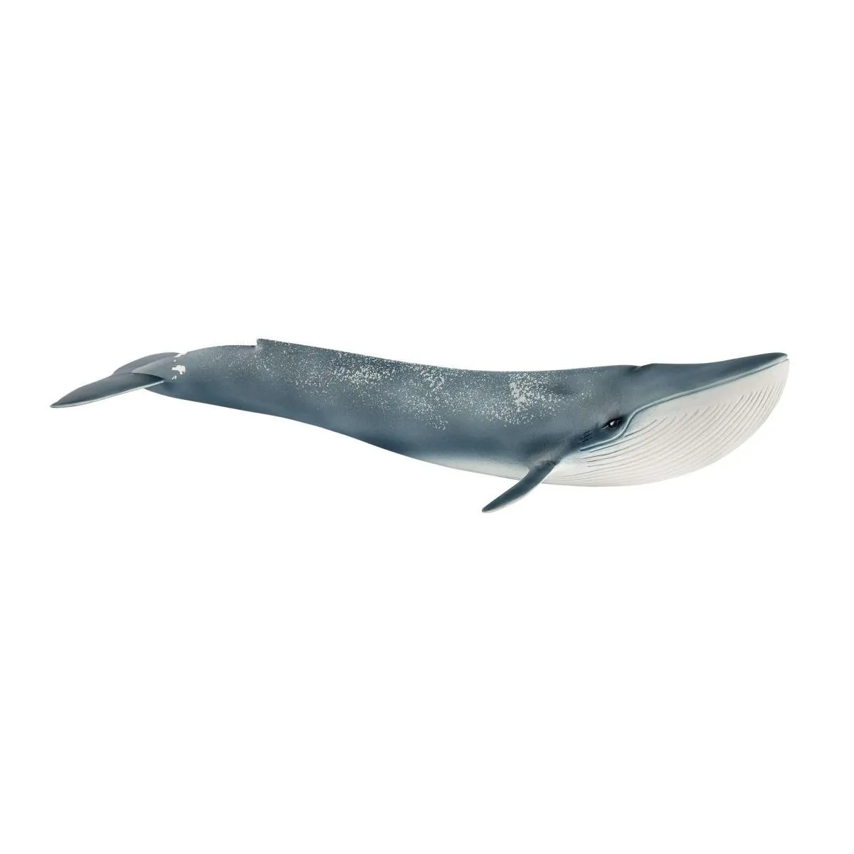 Blåval - Schleich