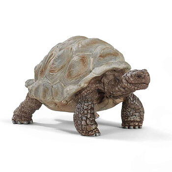 Jättesköldpadda - Schleich