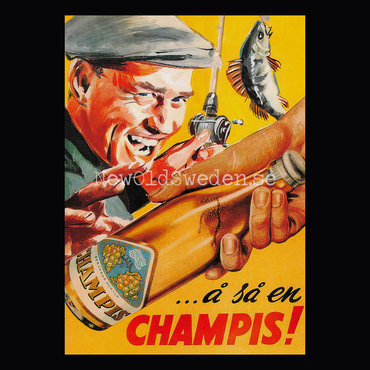 CHAMPIS Fiske - Vykort A5