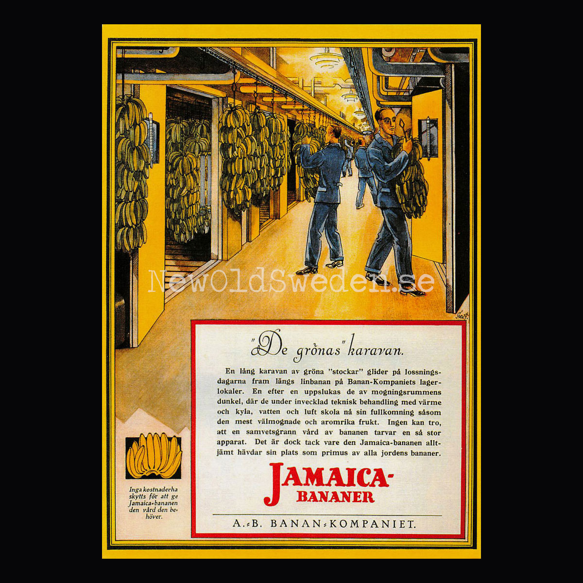 BANAN-KOMPANIET - Bananlager Jamaica Bananer - Vykort A5