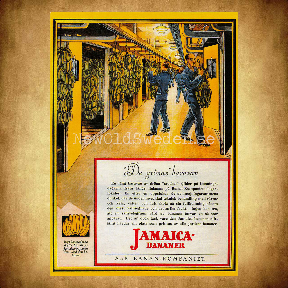 BANAN-KOMPANIET - Bananlager Jamaica Bananer - Vykort A5 - 2