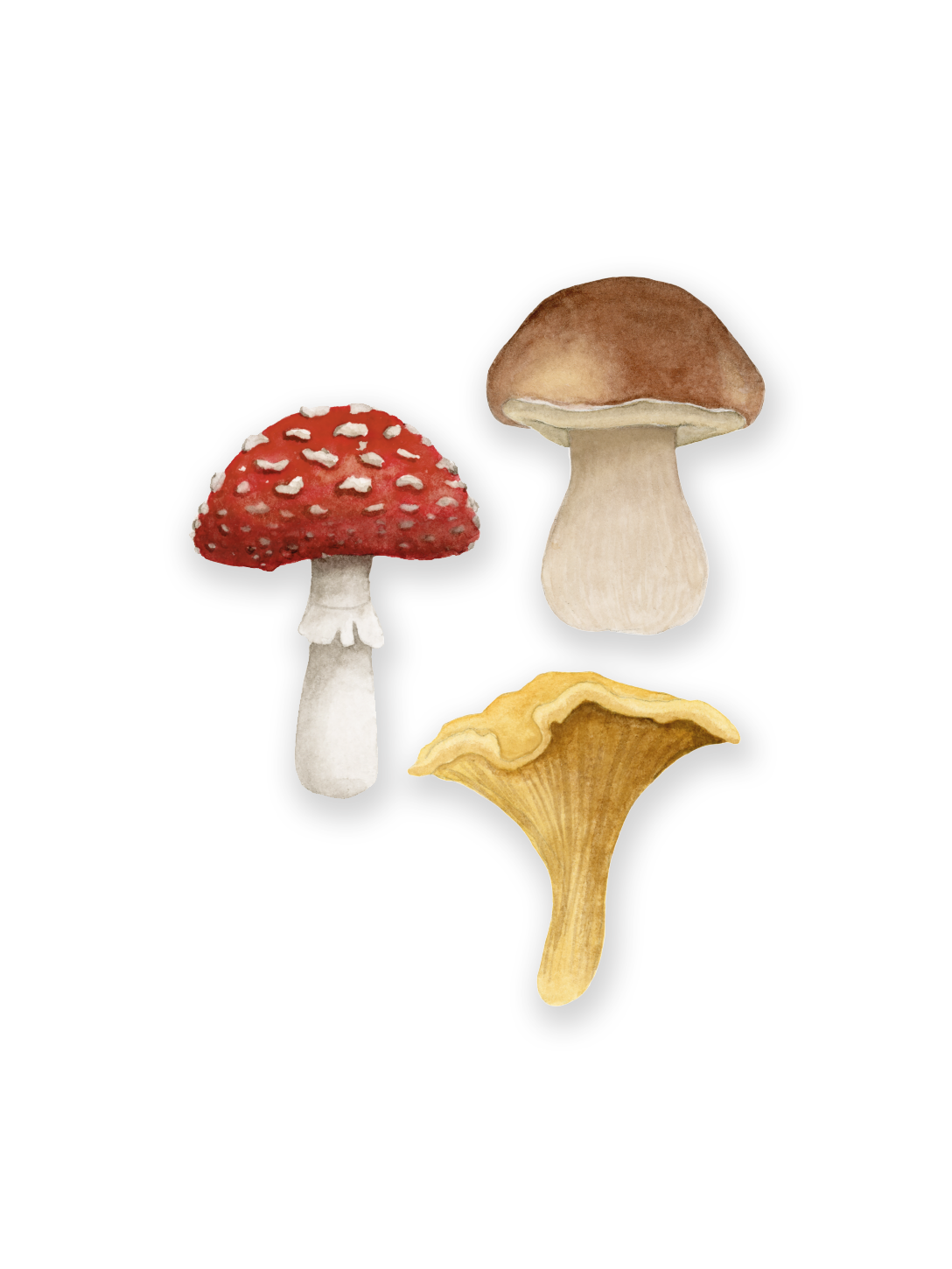 Väggdekor - Stora svampar 3-pack
