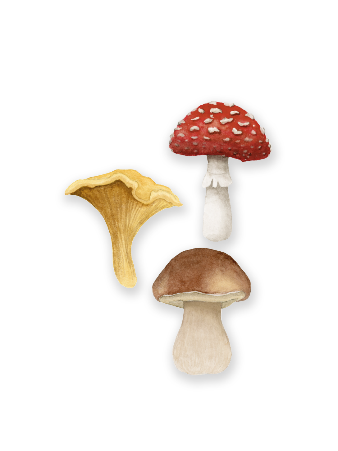 Väggdekor - Små svampar 3-pack
