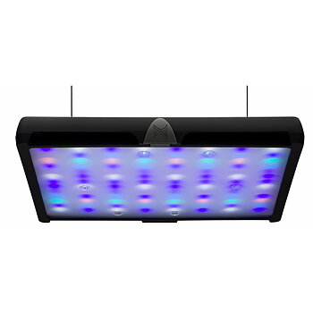 Neptunes SKY LED Light
