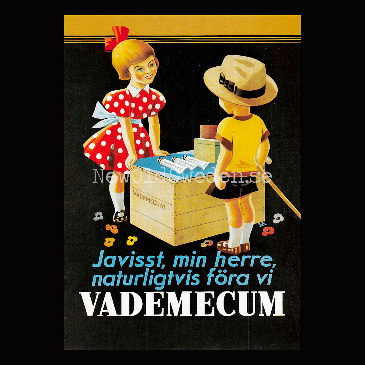 VADEMECUM - Vykort A5