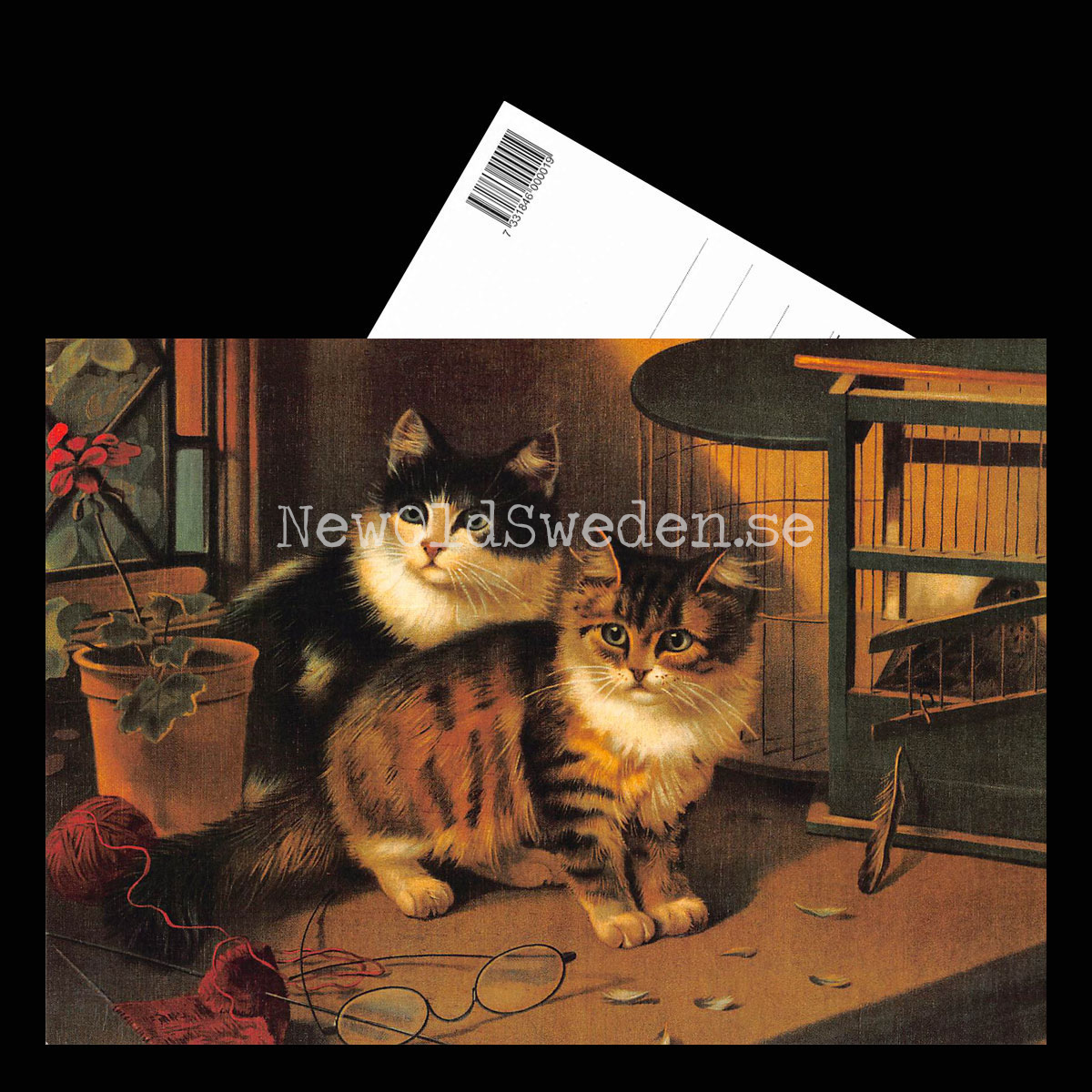 Katter - Vykort A5 - 3
