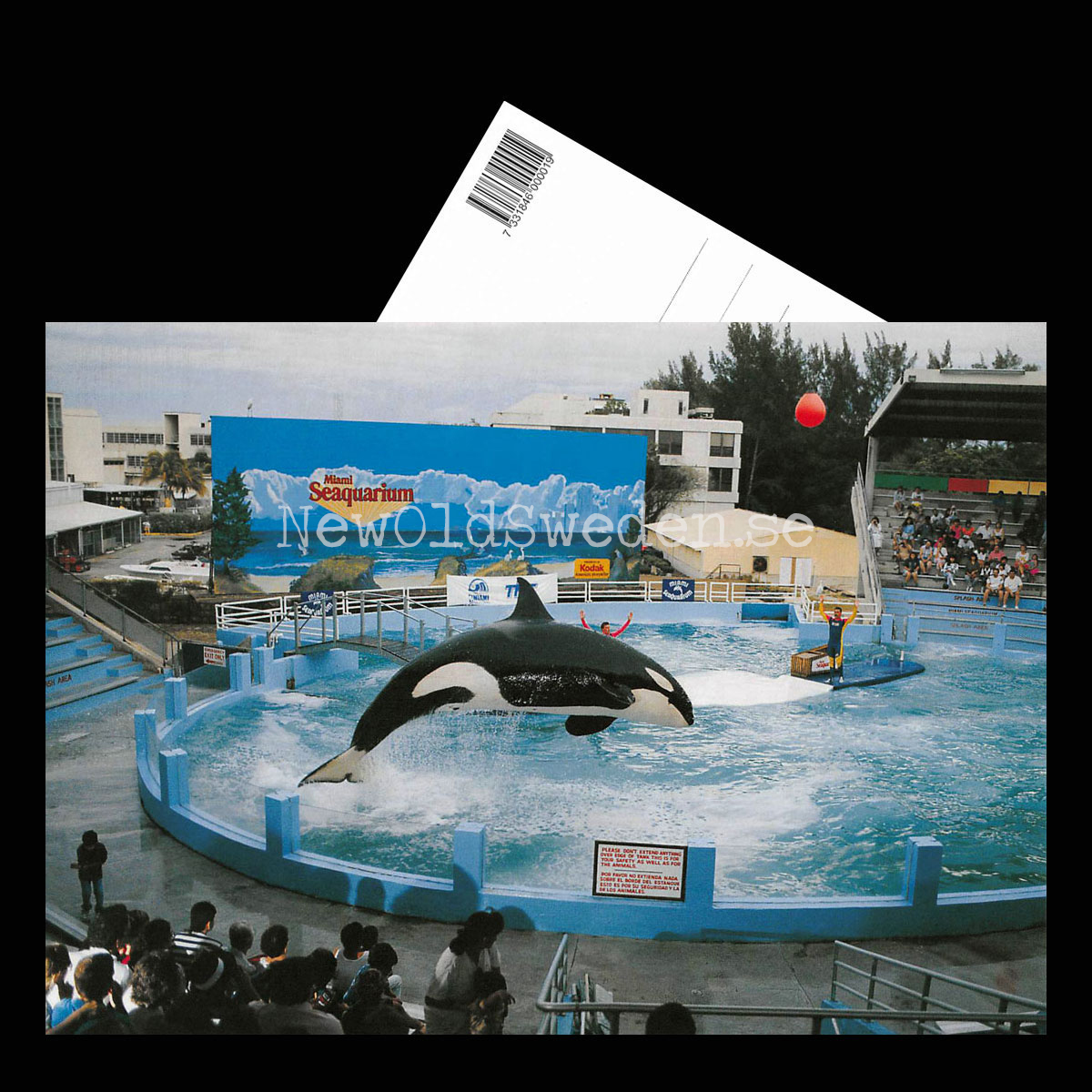 Miami Seaquarium - Vykort A5 - 3