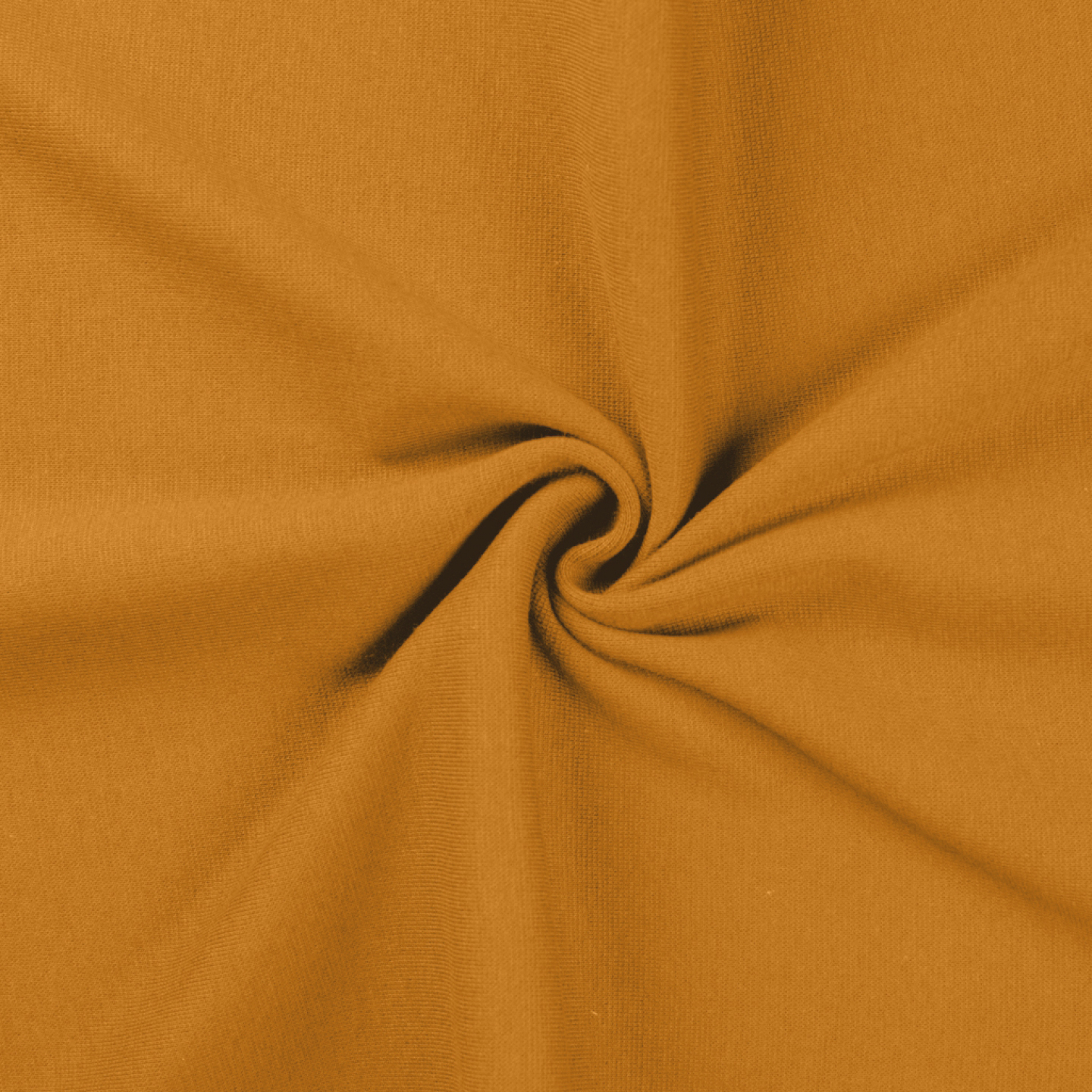 RIBB  - OCRE