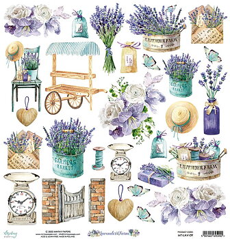 MBK -Lavender farm 09