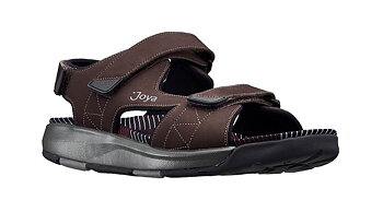 Joya Alexander Dark Brown