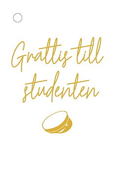 Gratulationskort mini Grattis till studenten