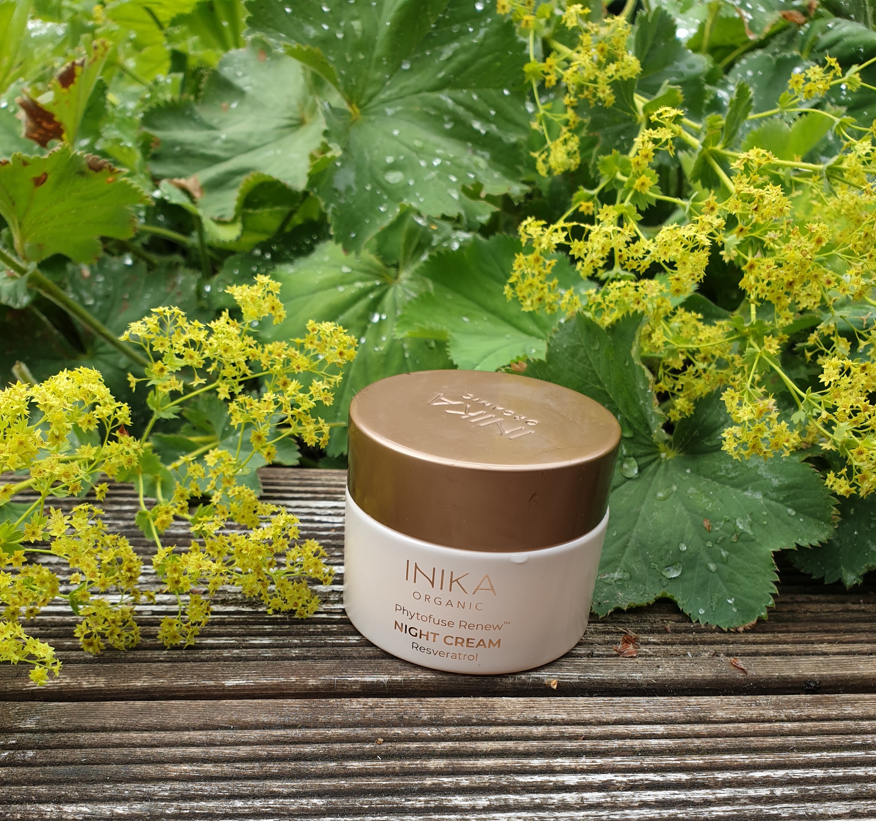 Phytofuse Renew™ Night Cream - INIKA rek utpris 799kr