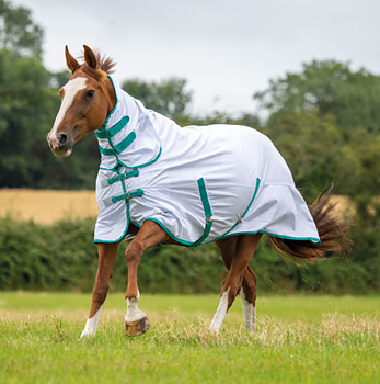 Shires Tempest Original Fly Combo Hyönteisloimi - Valkoinen