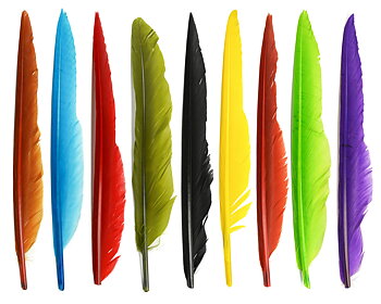 Duck Quills - Vingpenna