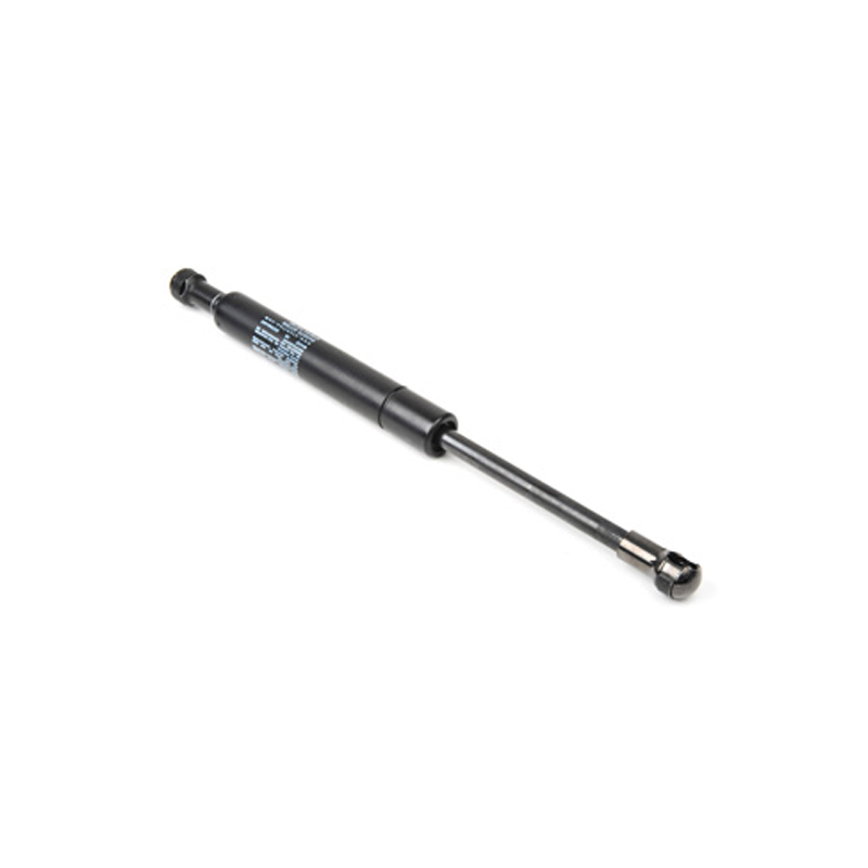 Gas spring rear
