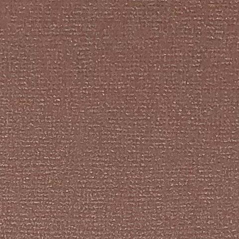  Cardstock Pearl Brown