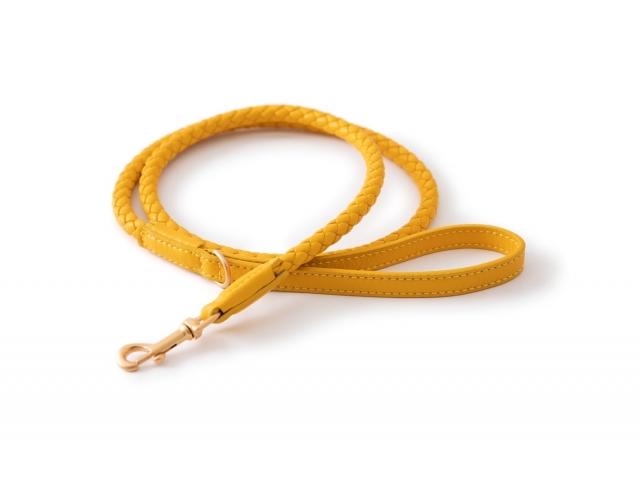 2.8 Ferdinando Leather Dog Leather