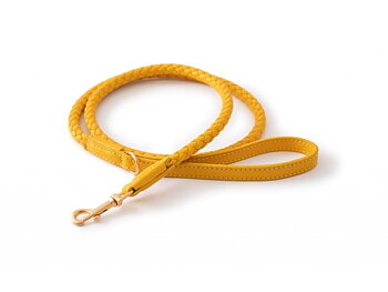 2.8 Ferdinando Leather Dog Leather