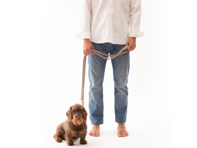 2.8 Mario Yellow Dog Leash - 4