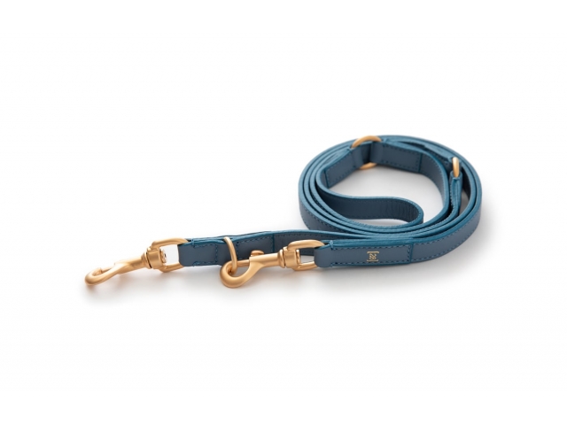 2.8 Mario Blue Dog Leash - 4