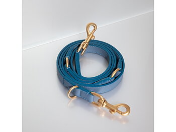 2.8 Mario Blue Dog Leash