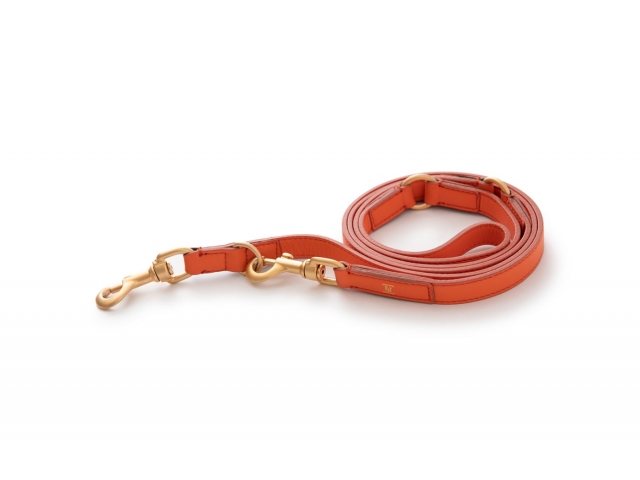 2.8 Mario Dog Leash, Orange - 4