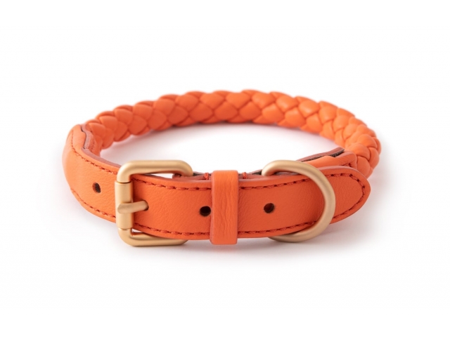 2.8 Ferdinando Orange Dog Collar  - 2