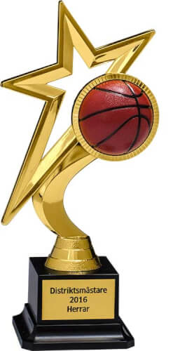 Basketstatyett Star Award