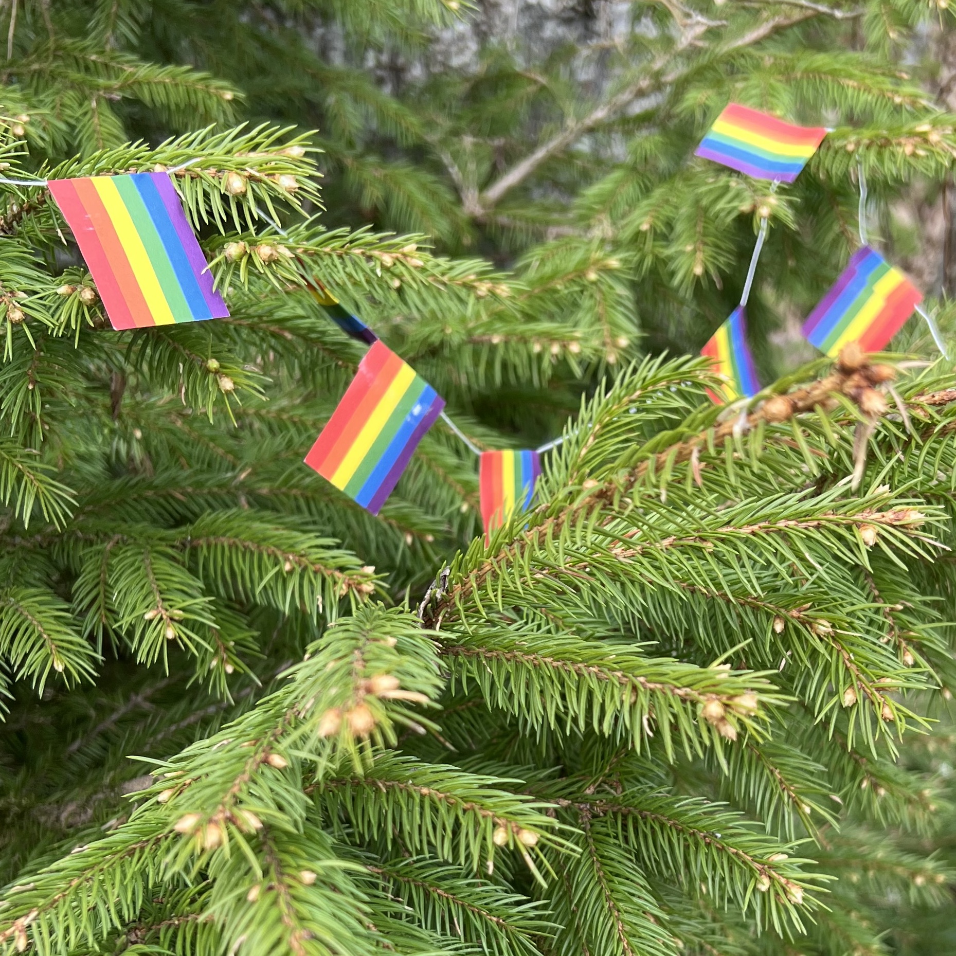Pride flaggenspiel Papiergirlande - 6