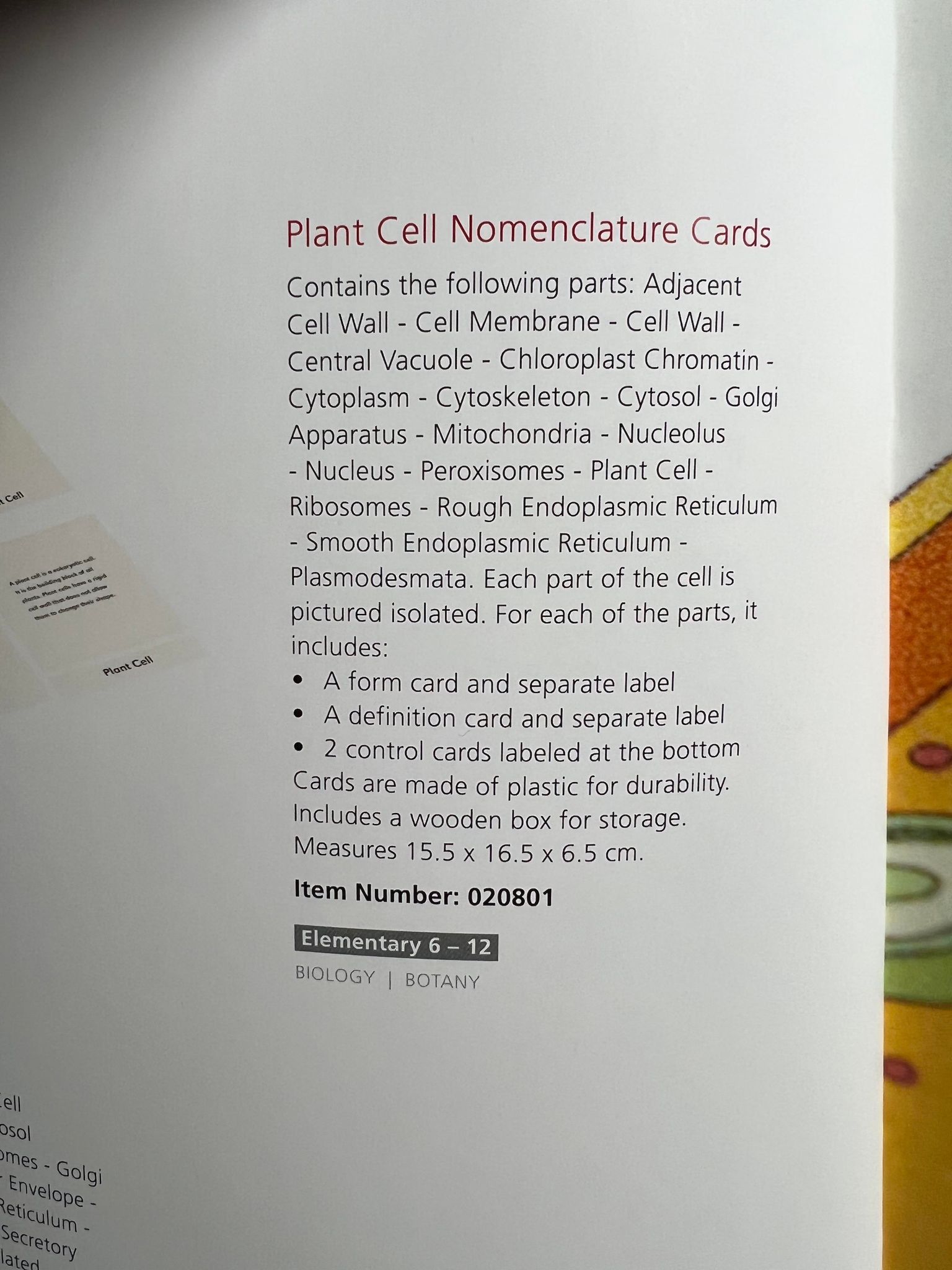 Plant Cell  Nomenclature cards - 2