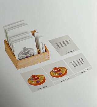 Animal Cell Nomenclature Cards