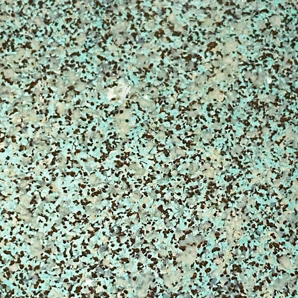Carefree Verdigris, Embossing Powder, Lindy's Stamp Gang - 2