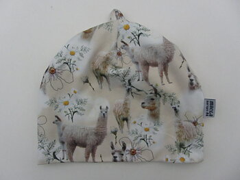 Lama