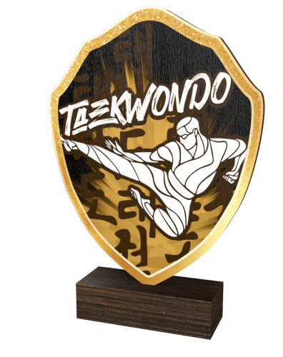 Taekwandostatyett